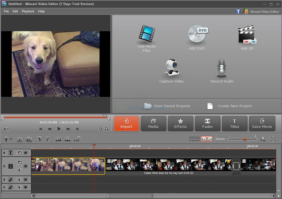 Video editing software with dog
